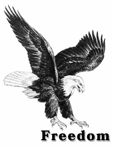 FREEDOM